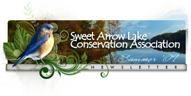 Sweet Arrow Lake Depth Chart